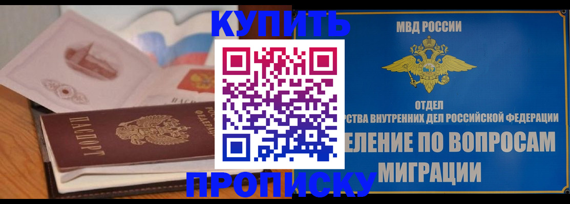 прописка законно в Заринске